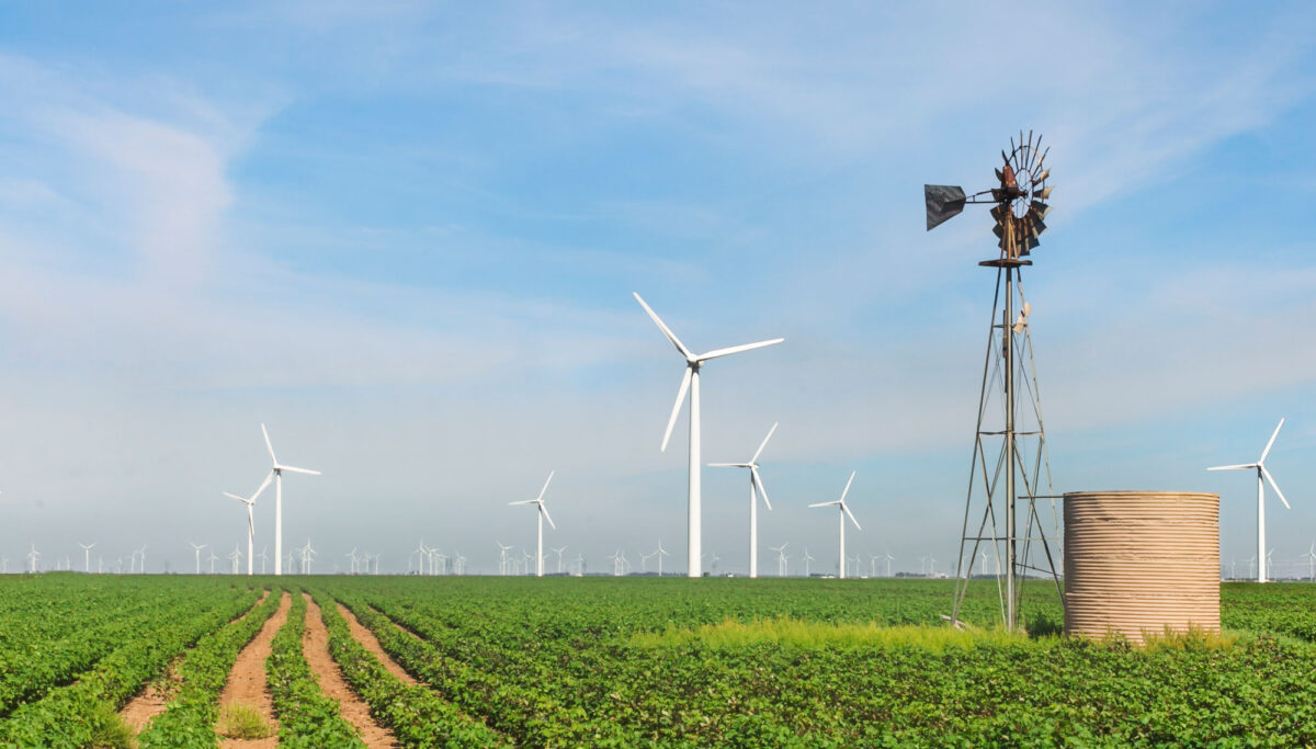 A photograph of a wind farm in Texas. A traditional windmill is in the foreground, with wind turbines dotting the landscape in the background. The windmill and turbines are in a cultivated field.