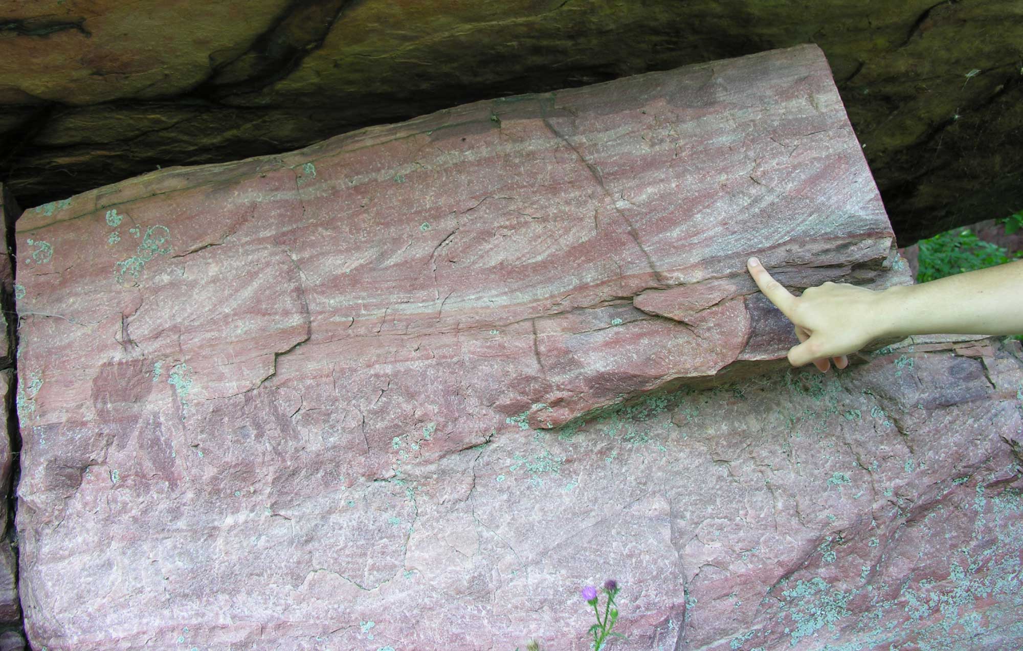 Photograph of Sioux quartzite in Minnesota. The quartzite is pink and shows cross-bedding in one layer. A person is pointing at the cross-bedding.