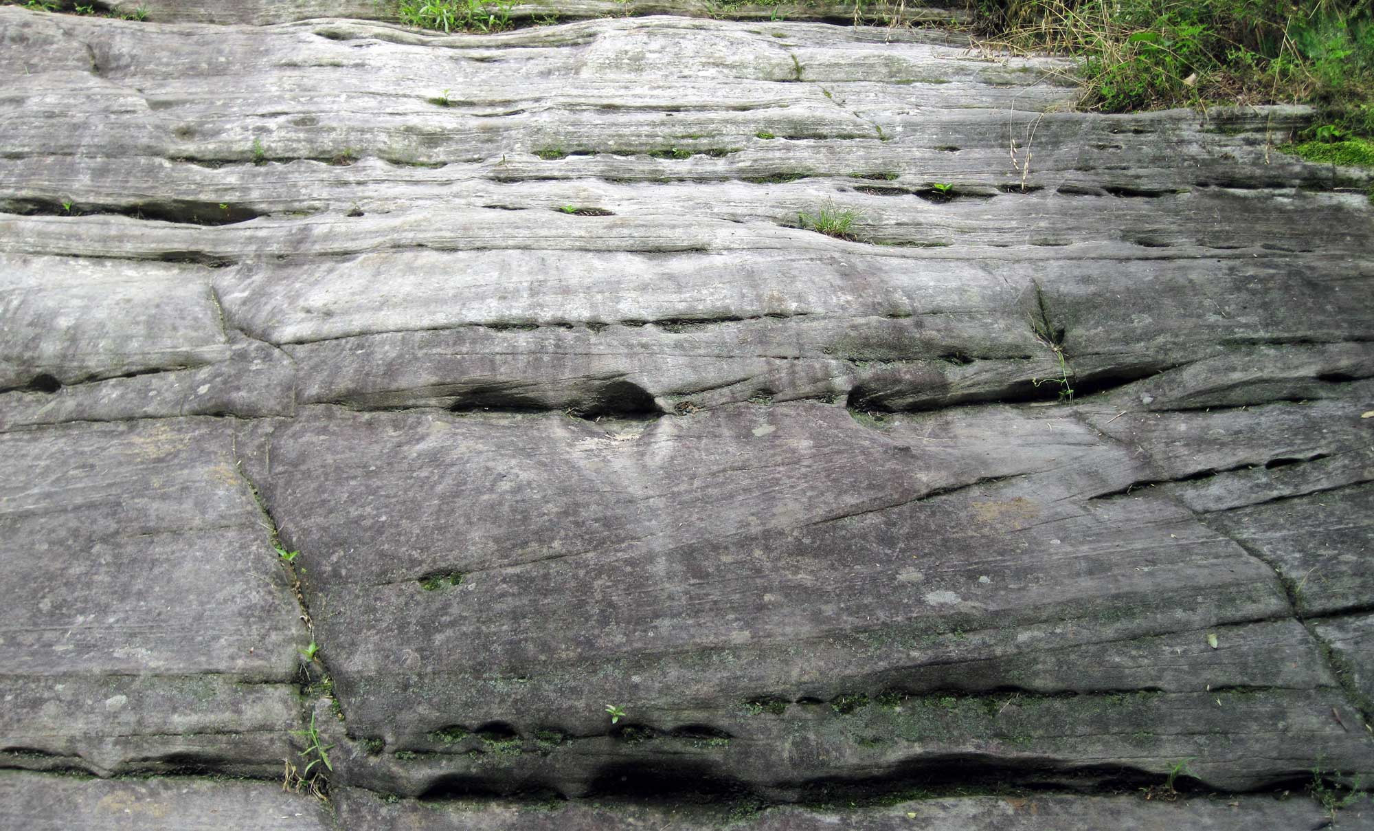 Photo of St. Peter Sandstsone, an Ordovician sandstone, outcropping in Missouri. The sandstone is gray in color and shows horizontal and angled bedding.