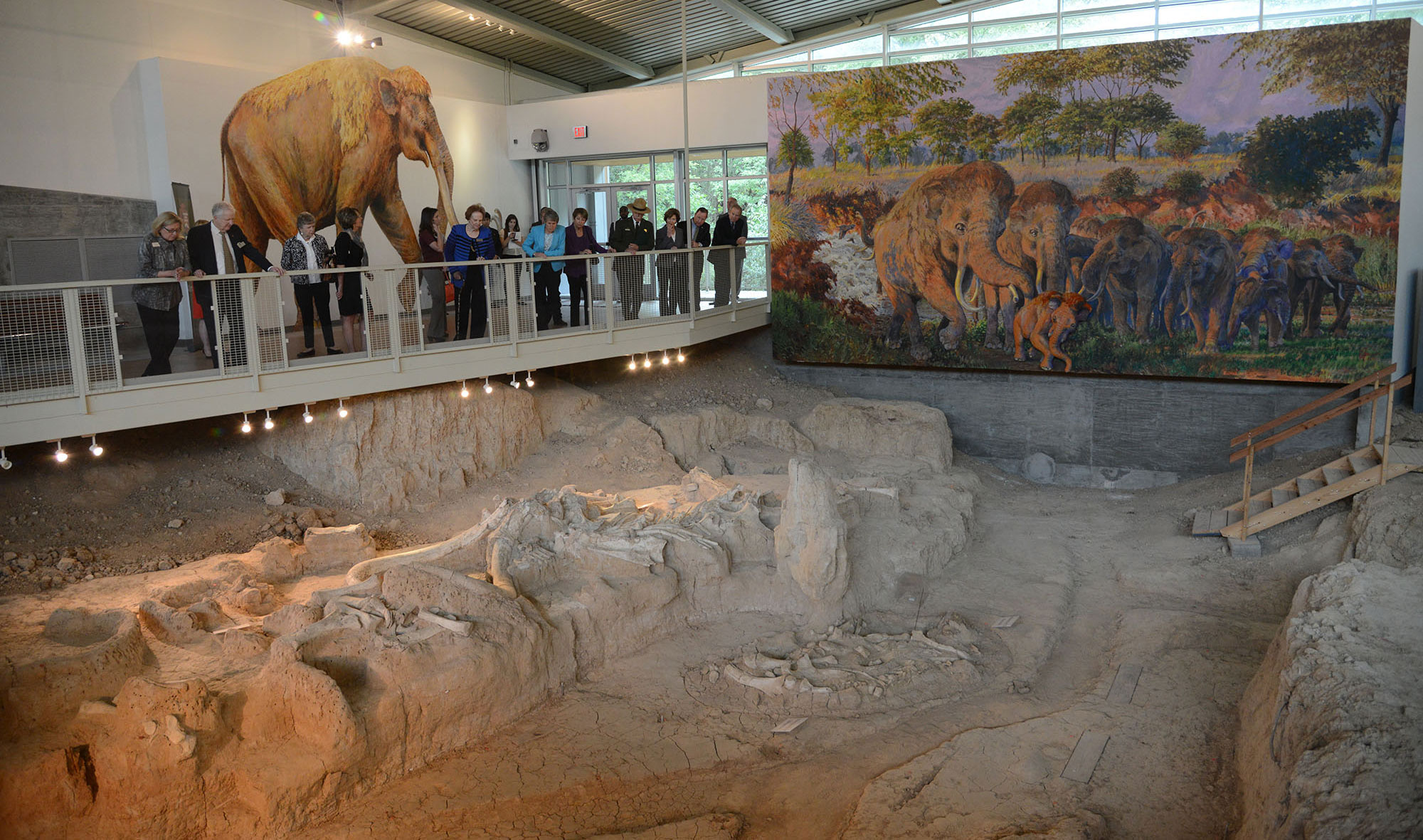 Photo inside the shelter at Waco Mammoth National Monument with a group of people on an walkway looking down on partially excavated mammals skeletons.