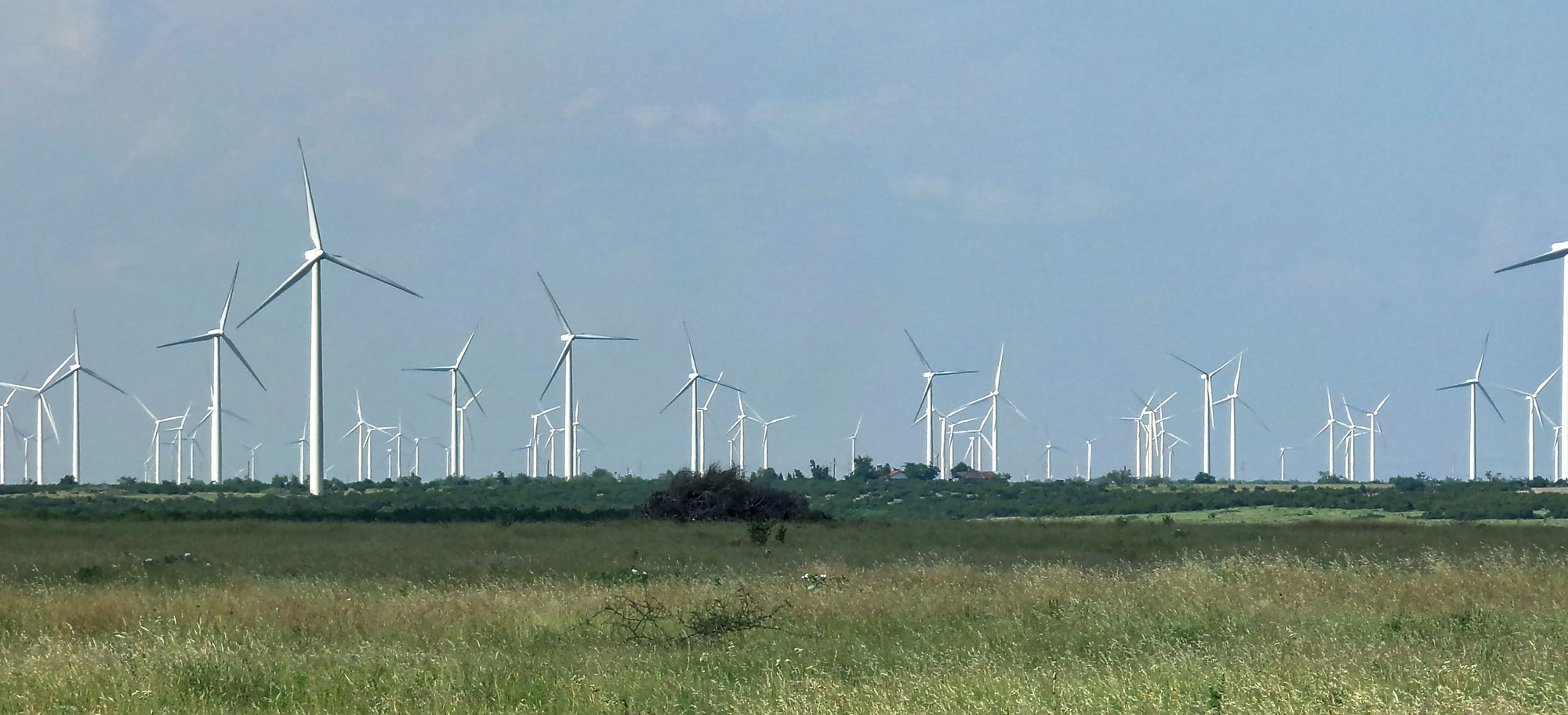 Photograph of a wind farm in Texas. Large wind turbines dot a landscape.