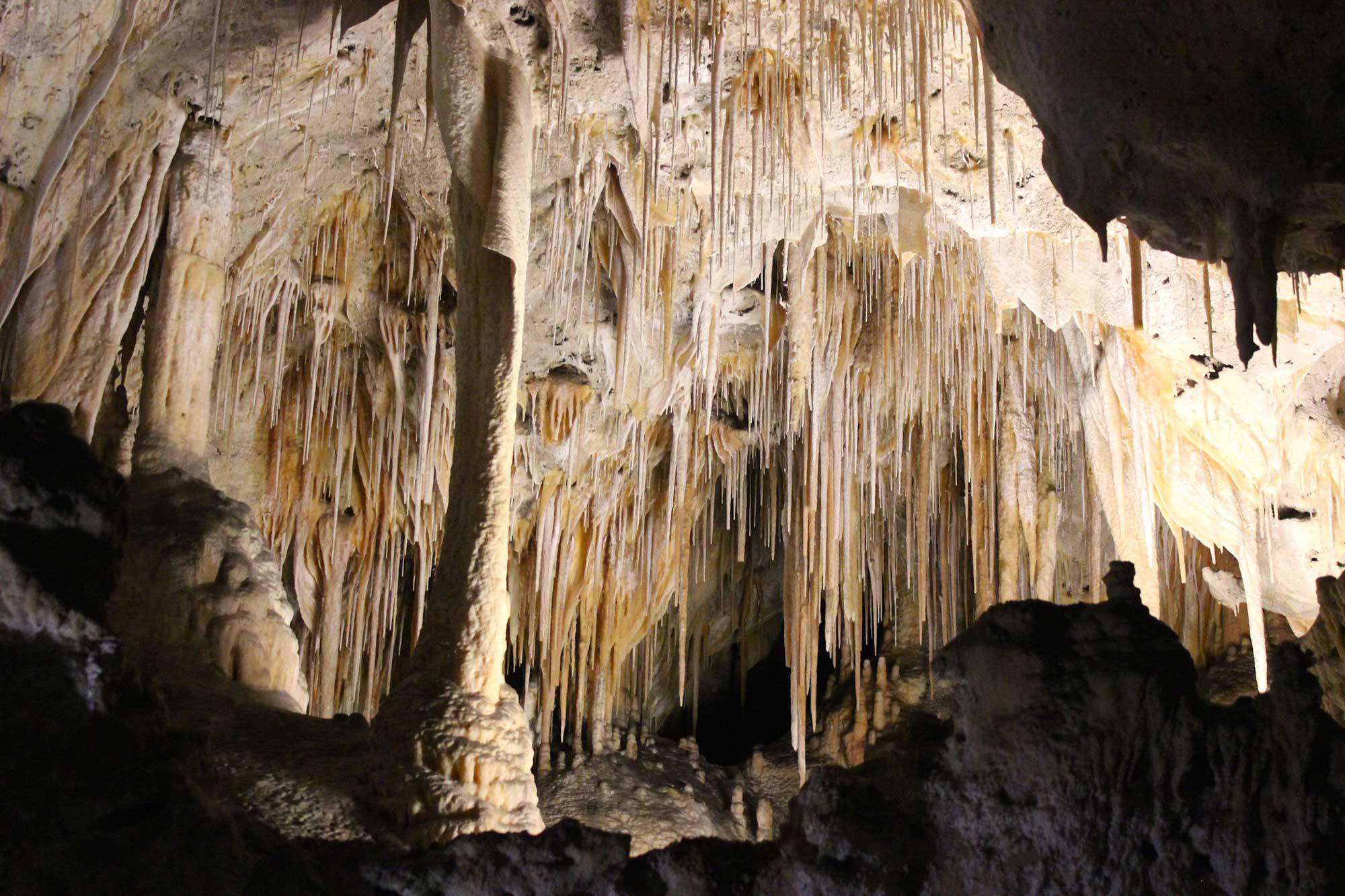 Photograph of cave formations inside of Carlsbad Caverns in New Mexico.