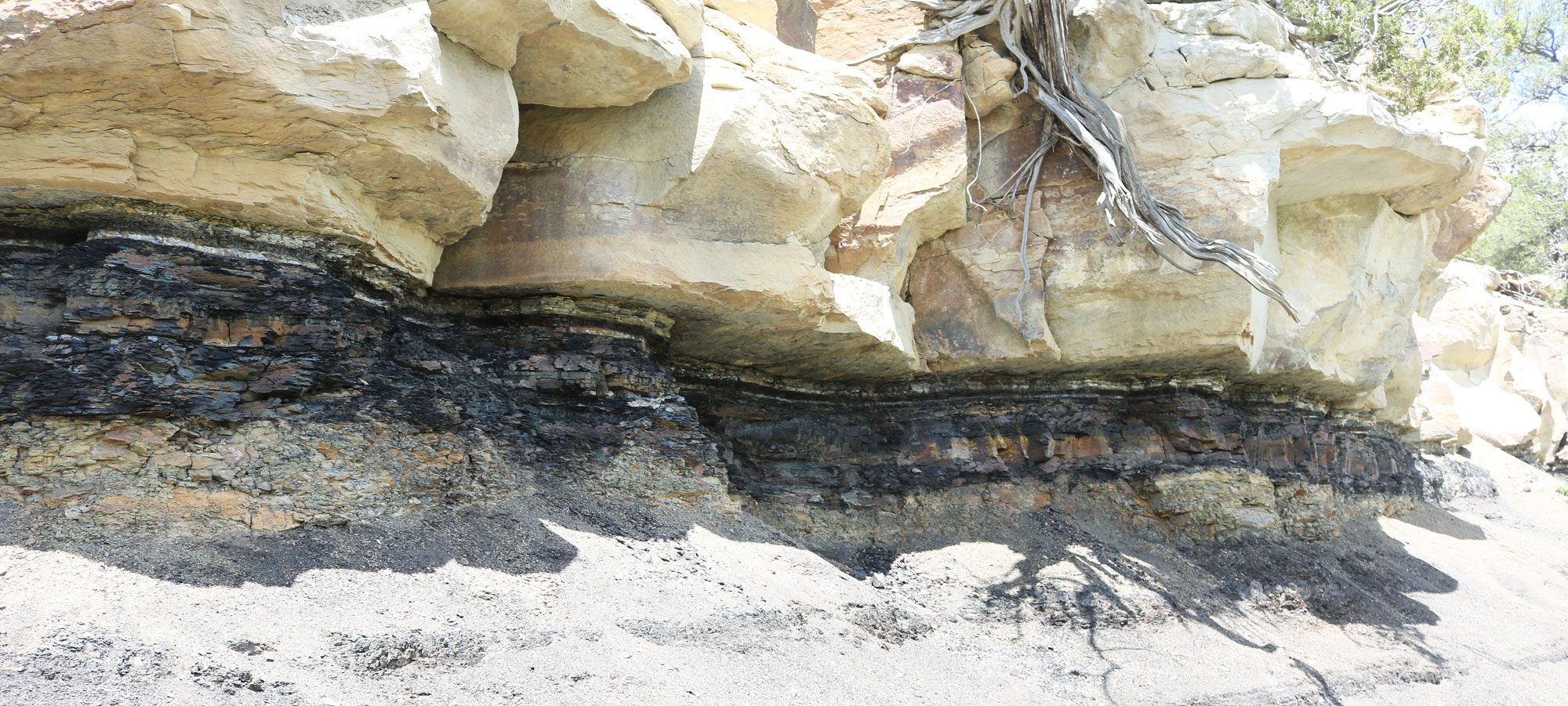 Photograph of the Cretaceous-Paleogene boundary near Trinidad, Colorado. The boundary shows a thick, dark-colored later beneath a tan-colored outcrop.