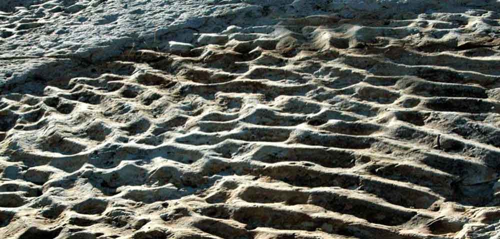 Photograph of ripples in the Dakota Sandstone at Dinosaur Ridge, Colorado.