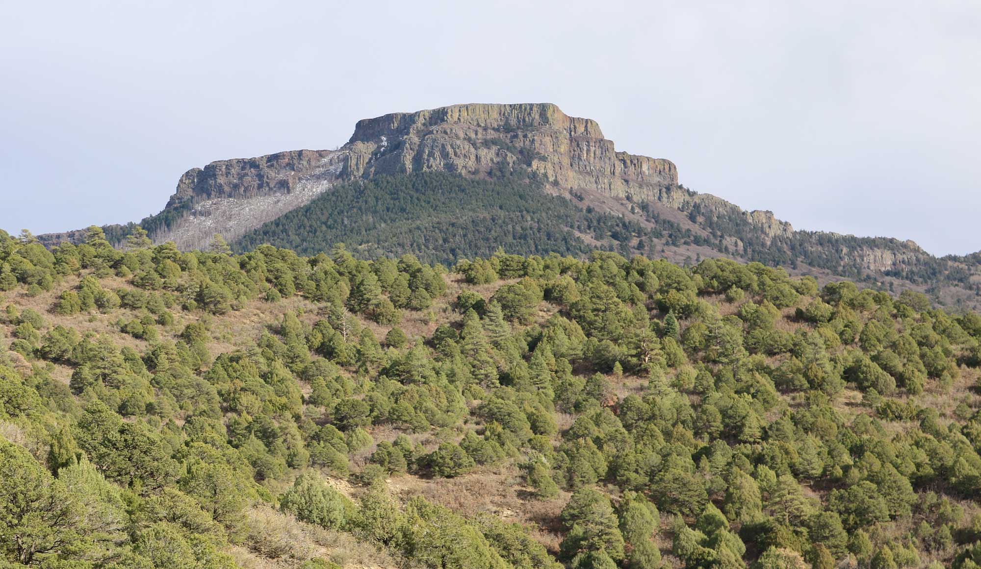 Photograph of Fishers Peak in Las Animas county, eastern Colorado. Photo shows a flat-topped mesa capped by volcanic rock. Away from the cap, the sides of the mesa slope gradually, with conifers covering the slopes.