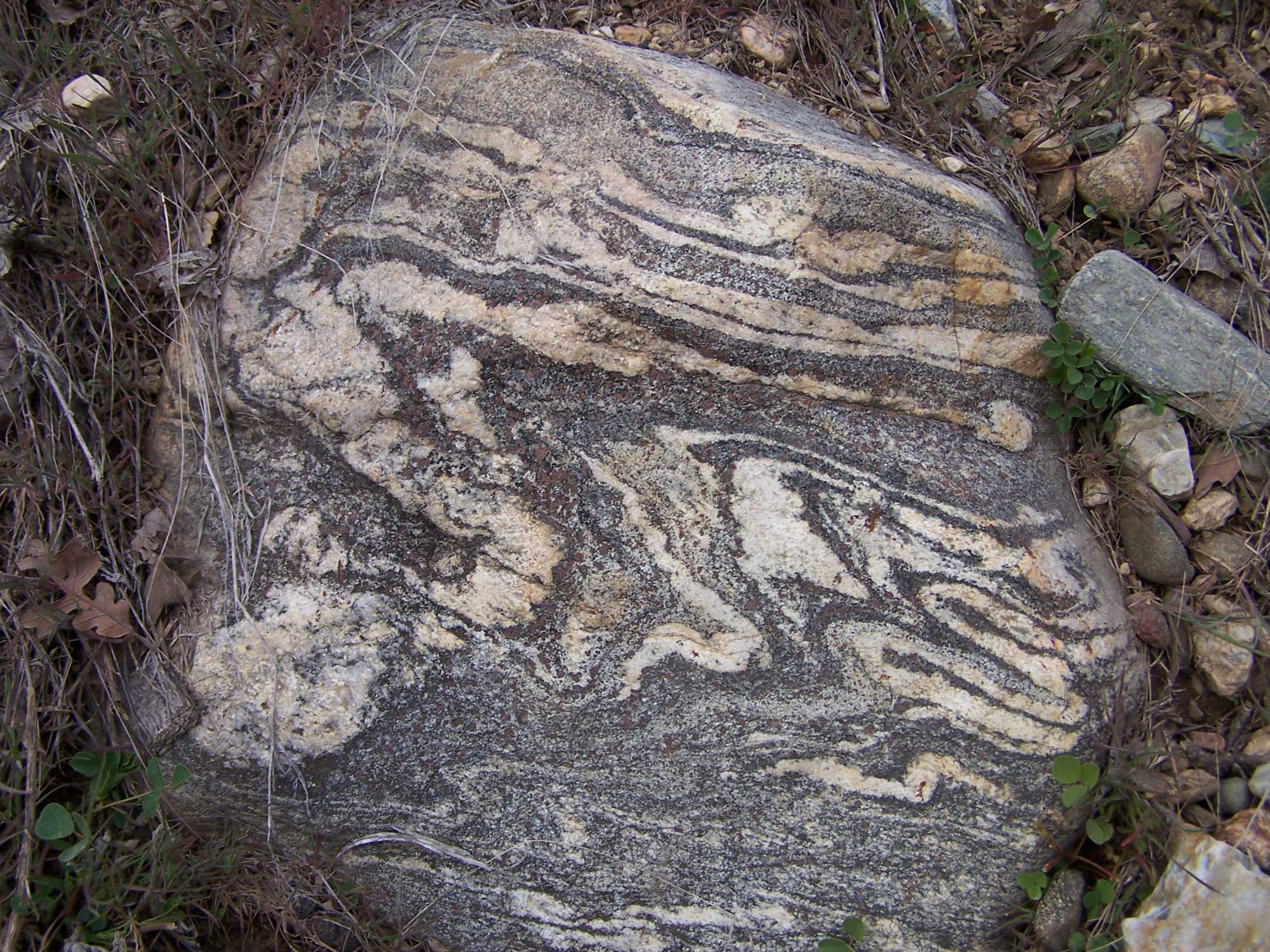 Photograph of a boulder of garnet gneiss. The rock shows a sinuous pattern of beige and burgundy-gray areas.