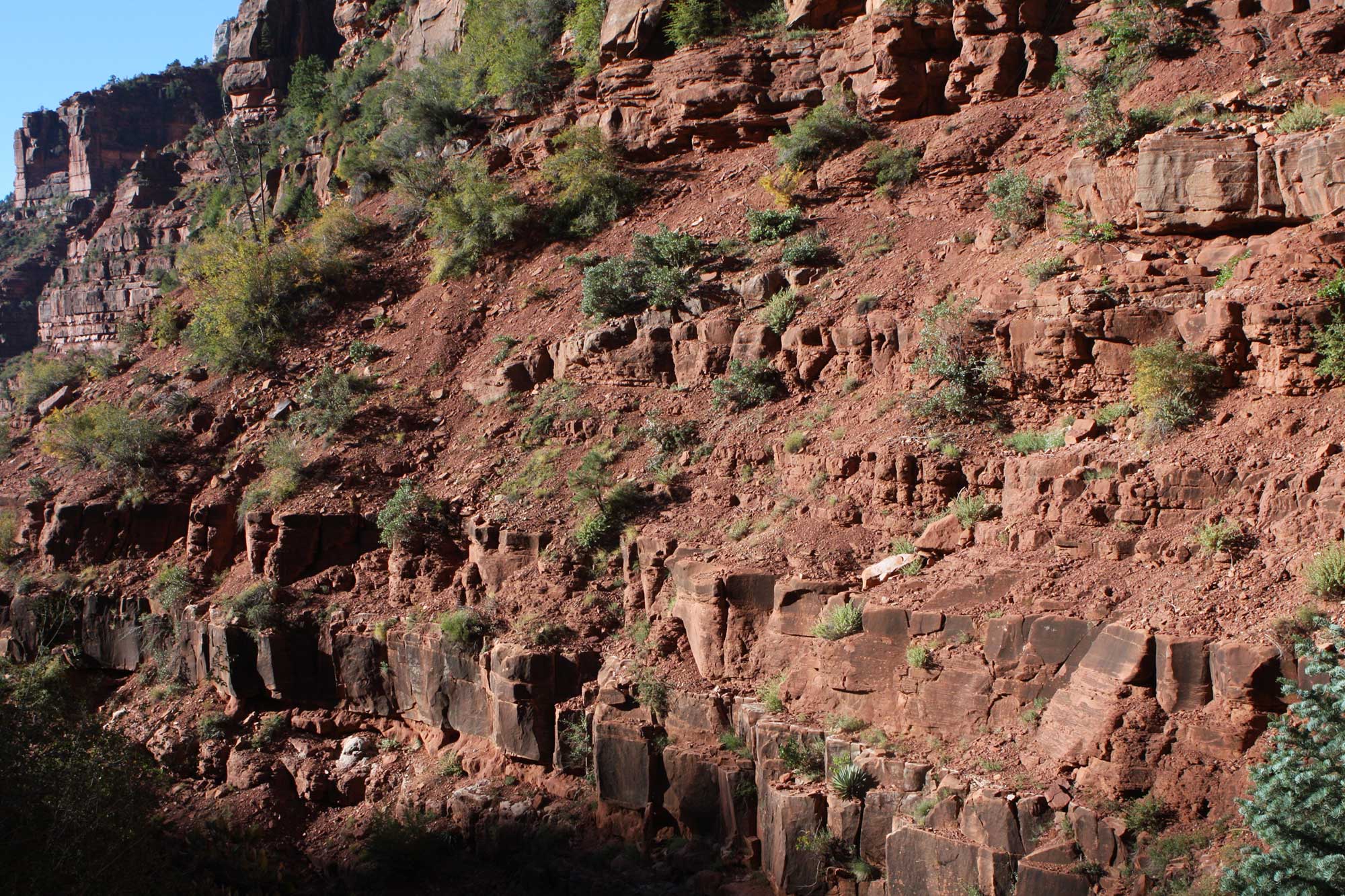 Photograph of an outcrop of Hermit Shale (or the Hermit Formation) in the Grant Canyon, Arizona. The rocks are dark pinkish-brown in color and exposed in thick layers with short, eroded, sloping areas in between.