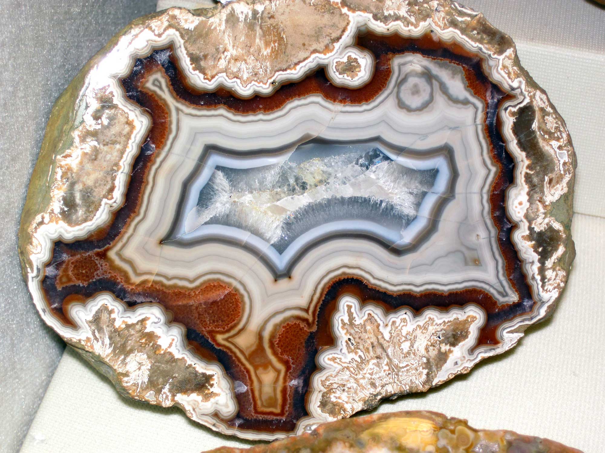 Photograph of a sample of Kentucky agate.