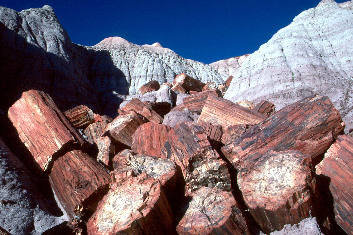 Photograph of a pile of red-colored petrified logs at the base of gray-and-red layered badlands in Petrified National Forest, Arizona.