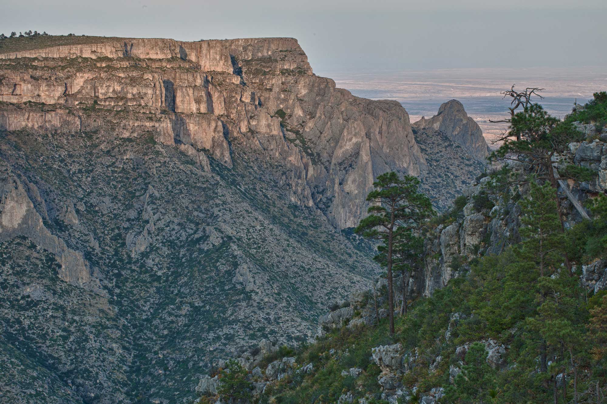 Photograph of Lonesome Ridge in southern New Mexico. The image shows a mountain slop capped by thick cliffs. The area is clearly arid, as vegetation is relatively spare and bare ground can be seen between shrubs or trees.