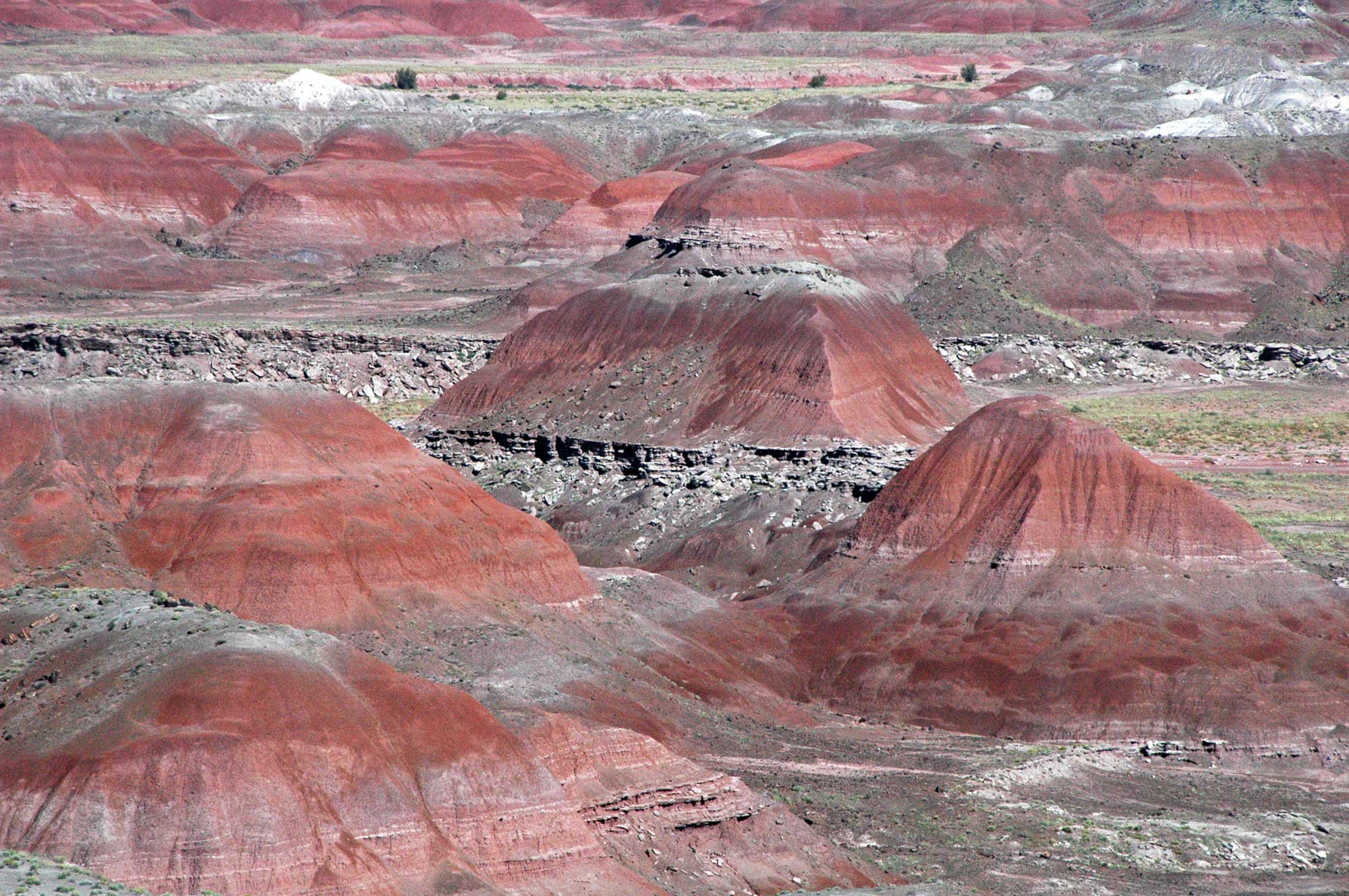 Photograph of badlands in the Painted Desert, Arizona. The badlands are a series of rounded hills with no vegetation on them. They are predominantly red in color, with some pinkish or white horizontal stripes. The slopes of the badlands are furrowed from erosion. Some plants occur on flat ground between the hills.