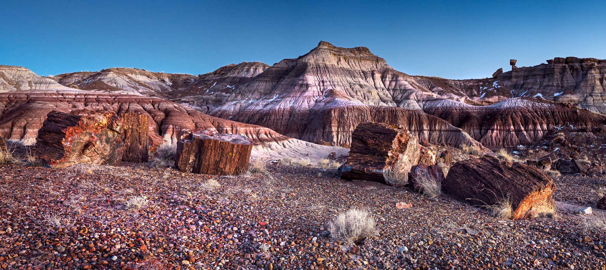 Photograph of chucks of petrified wood at Petrified Forest National Park.