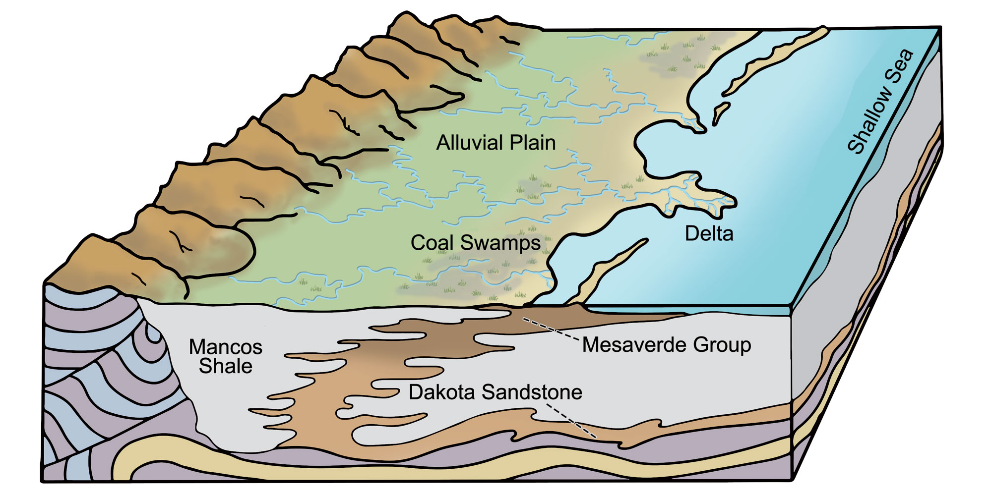 Diagram showing Cretaceous coal swamps in which Cretaceous coals accumulated. The cutaway view shows the Mancos Shale, The Dakota Sandstone, and the Mesaverde Group making up the subsurface. On the surface, mountains are on the left and a shallow sea on the right, with an alluvial plain between them. Coal swamps occur near the edge of the sea. A delta is shown extending into the sea.