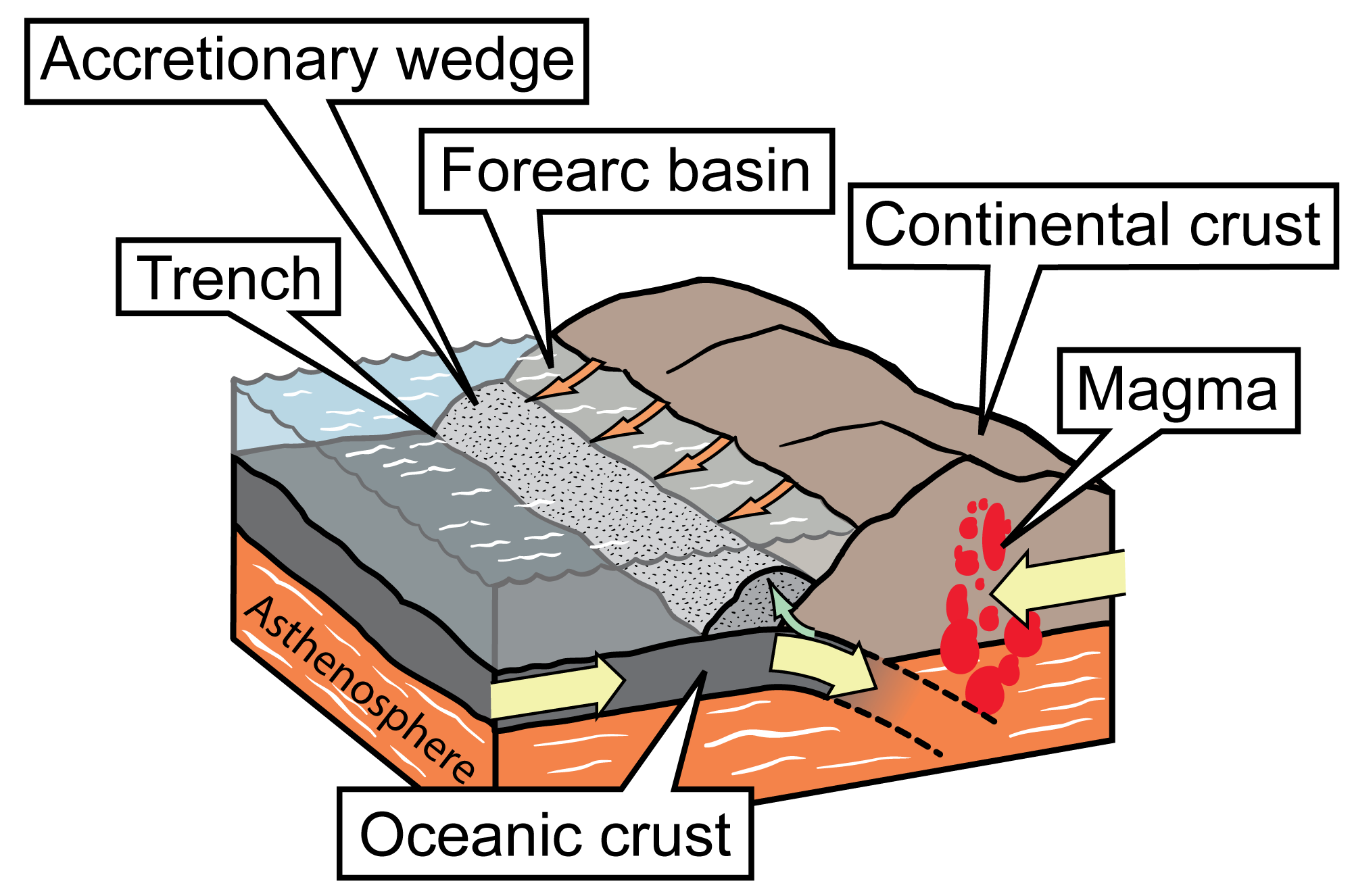 Diagram showing a convergent tectonic plate boundary.