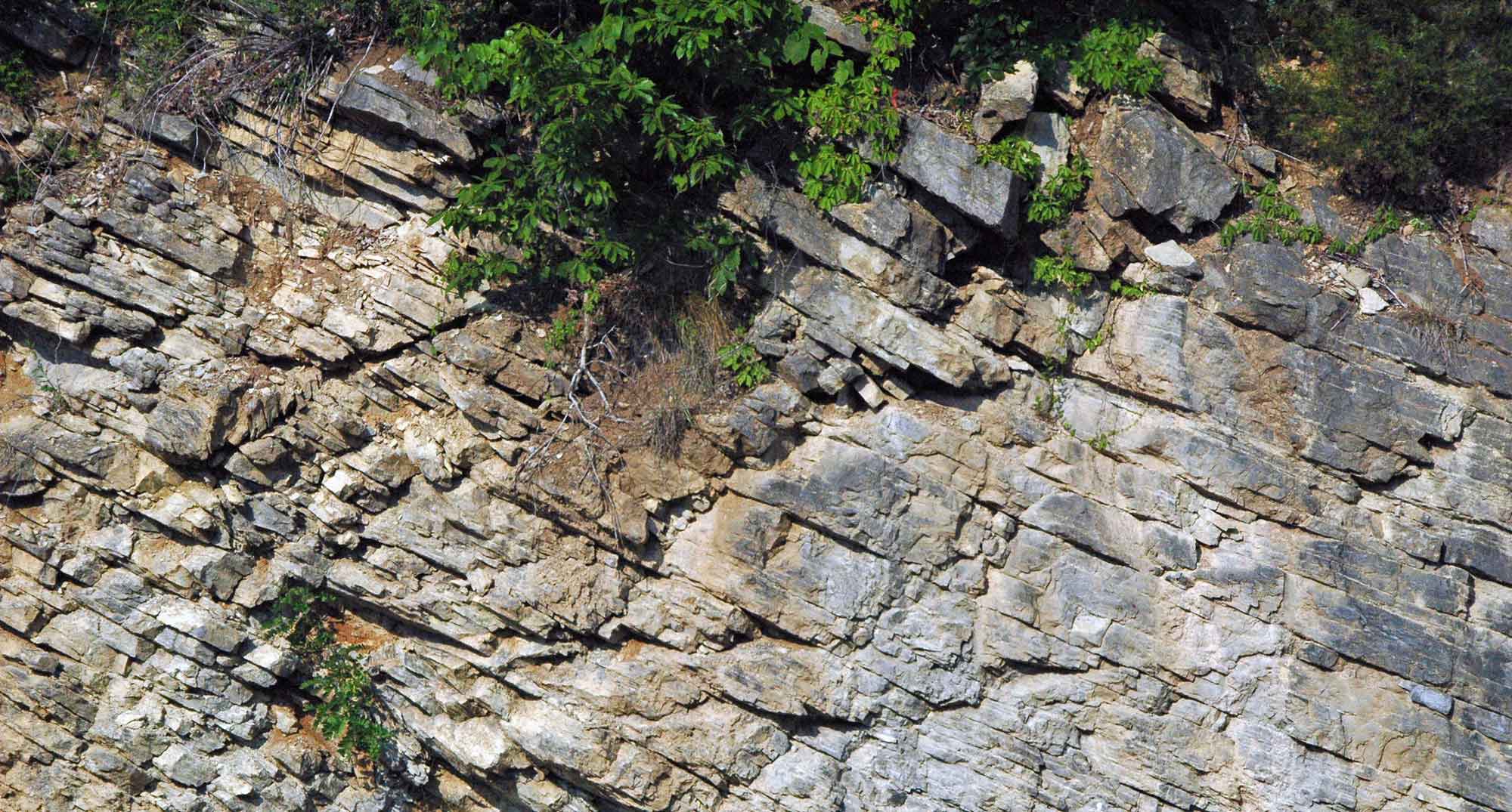 Photograph of Ordovician limestone layers from Tennessee.