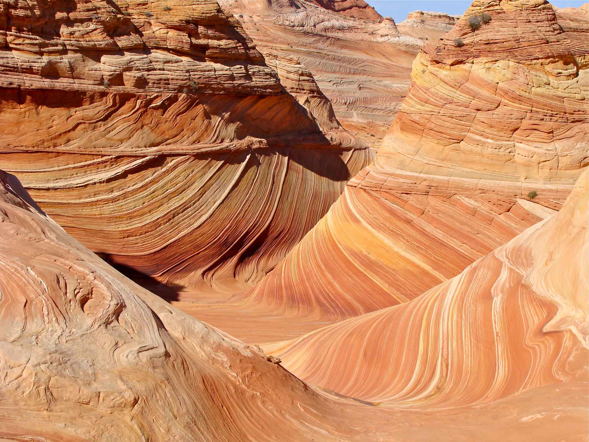 Photograph of a rock feature called "The Wave" exposed in Navajo Sandstone in Arizona.