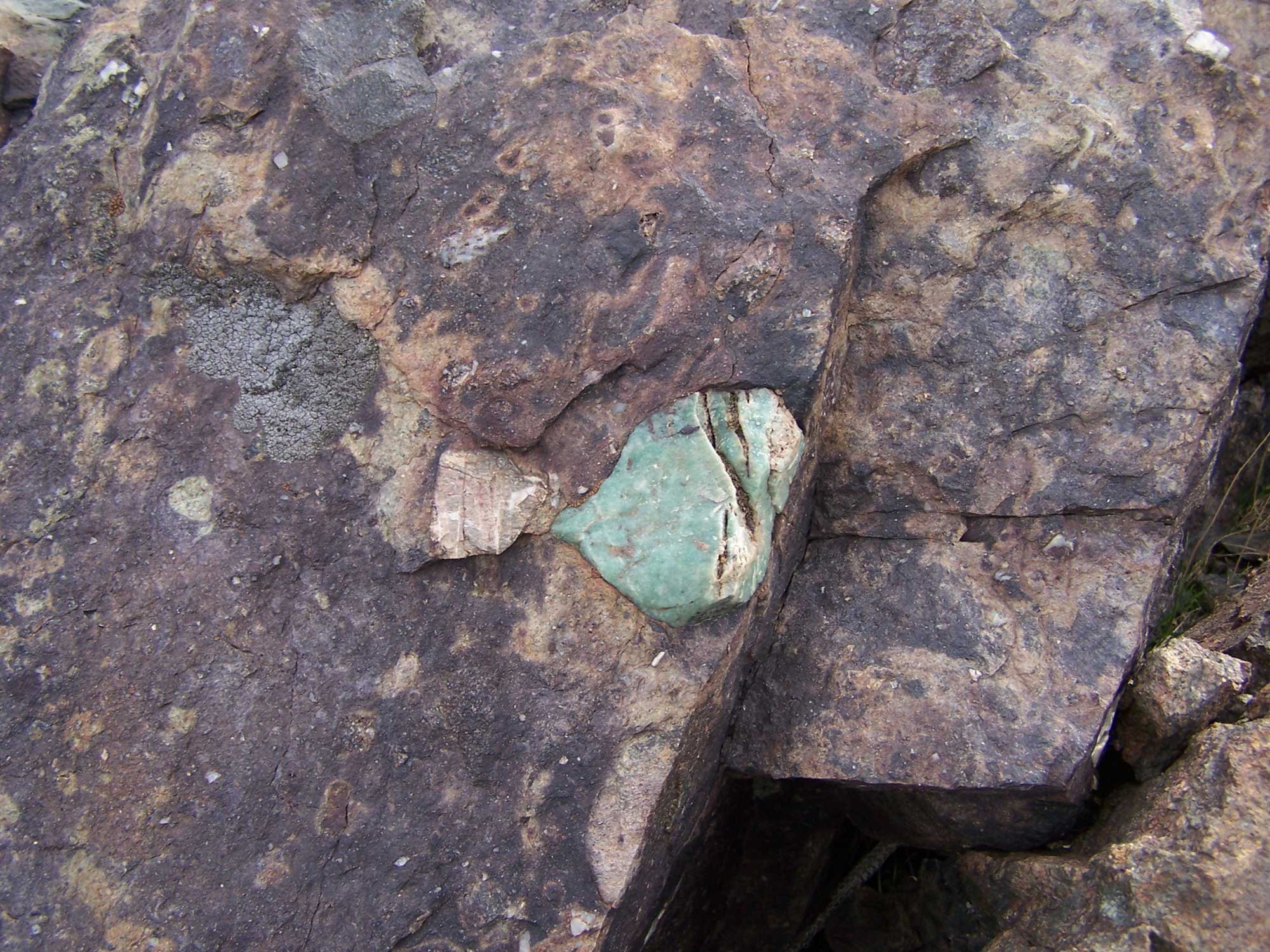 Photograph of tillite from the Mineral Fork Formation, Antelope Island, Utah. The photo is a close-up showing a detail of the rock surface. Most of the surface is burgandy-brown, but there is a large green inclusion in the center of the image.