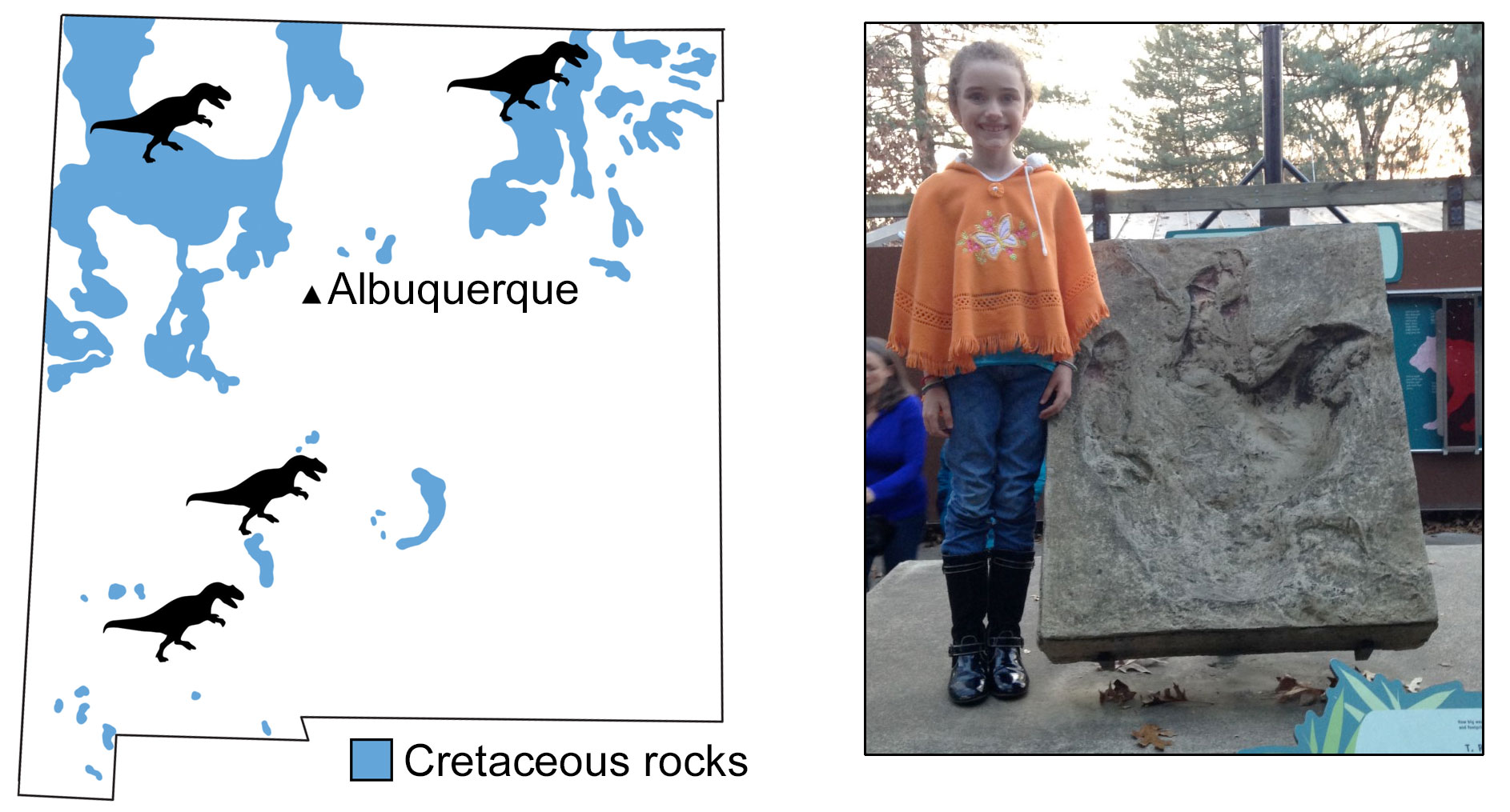 2-panel image. Panel 1: Diagram showing an outline of the state of New Mexico with Cretaceous rocks shaded light blue. The position of Albuquerque in the northwestern part of the state is indicated. Four dinosaur silhouettes show where tyrannosaur fossils have been found. Panel 2: Photograph of a young girl standing next to the cast of a large, three-toed footprint thought to be a Tyrannosaurus rex footprint. The footprint is about two-thirds the height of the girl.