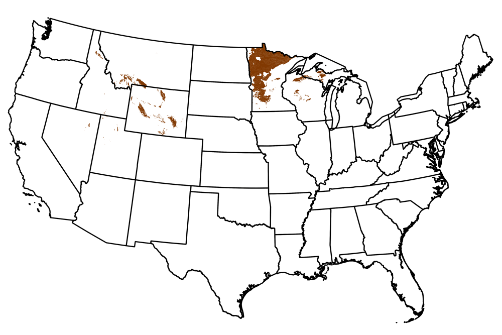 Map of the United States showing the locations of Archean-aged rocks.