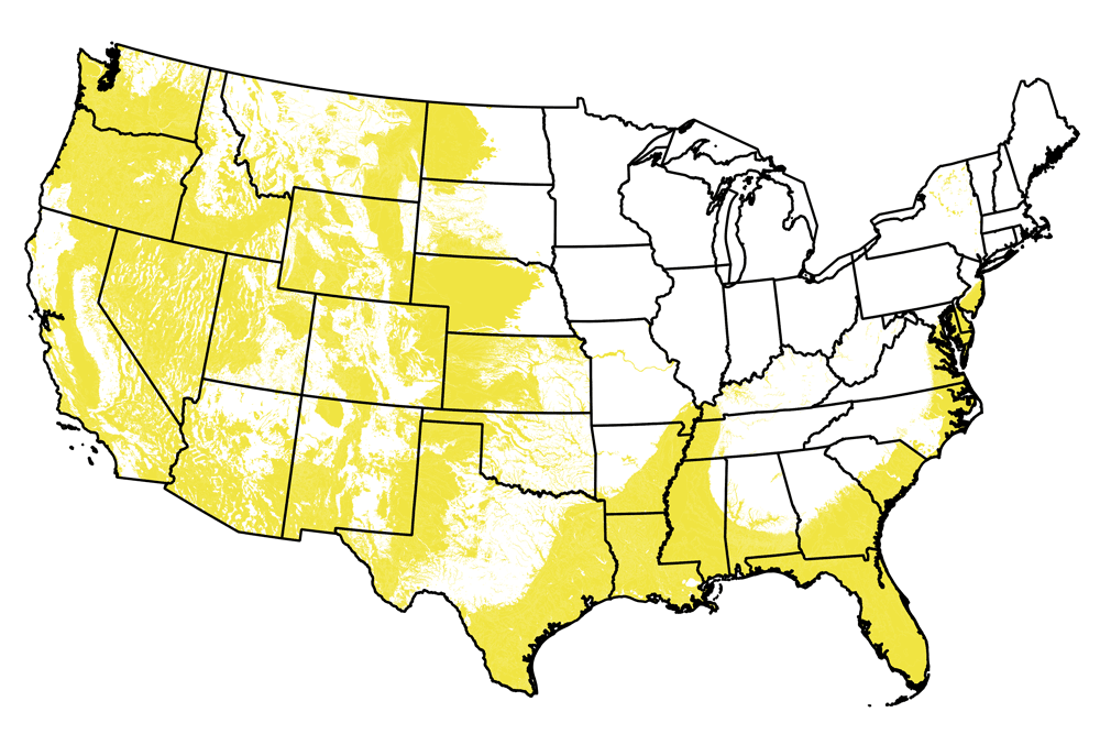 Map of the United States showing the locations of Cenozoic-aged rocks.