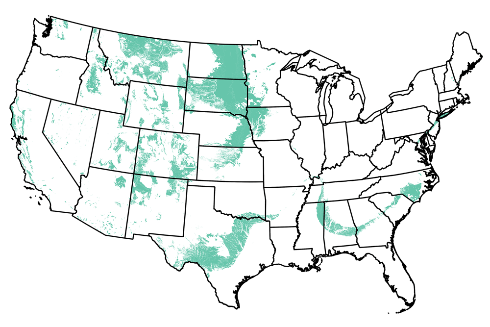 Map of the United States showing the locations of Cretaceous-aged rocks.
