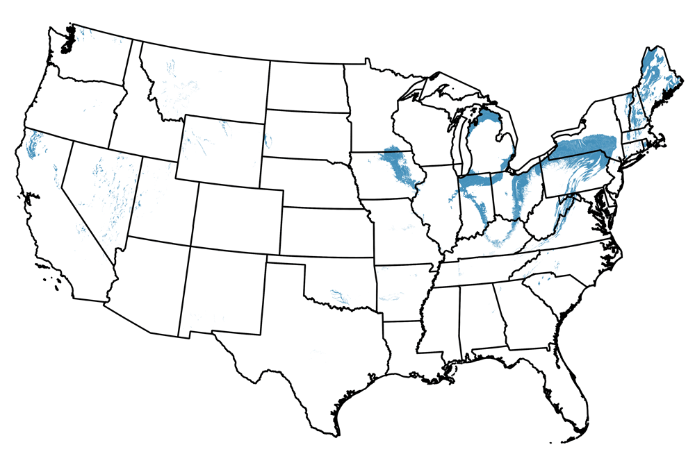 Map of the United States showing the locations of Devonian-aged rocks.