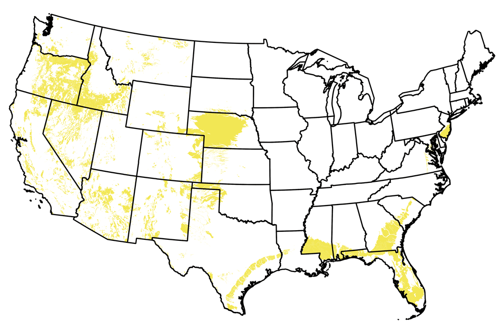 Map of the United States showing the locations of Neogene-aged rocks.
