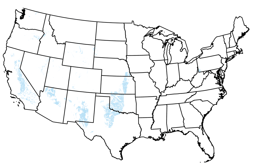 Map of the United States showing the locations of Permian-aged rocks.