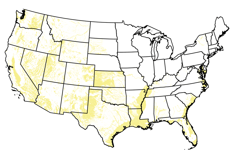 Map of the United States showing the locations of Quaternary-aged rocks.
