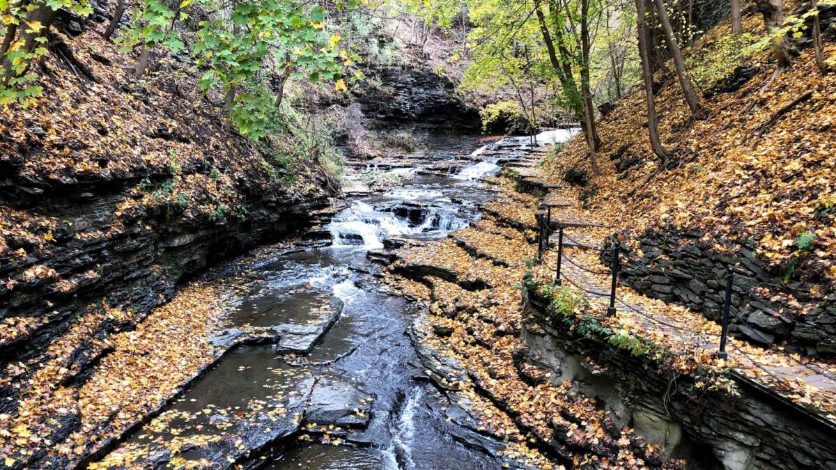 Photograph of Cascadilla Gorge, New York in autumn. Fallen leaves cover the rocks.