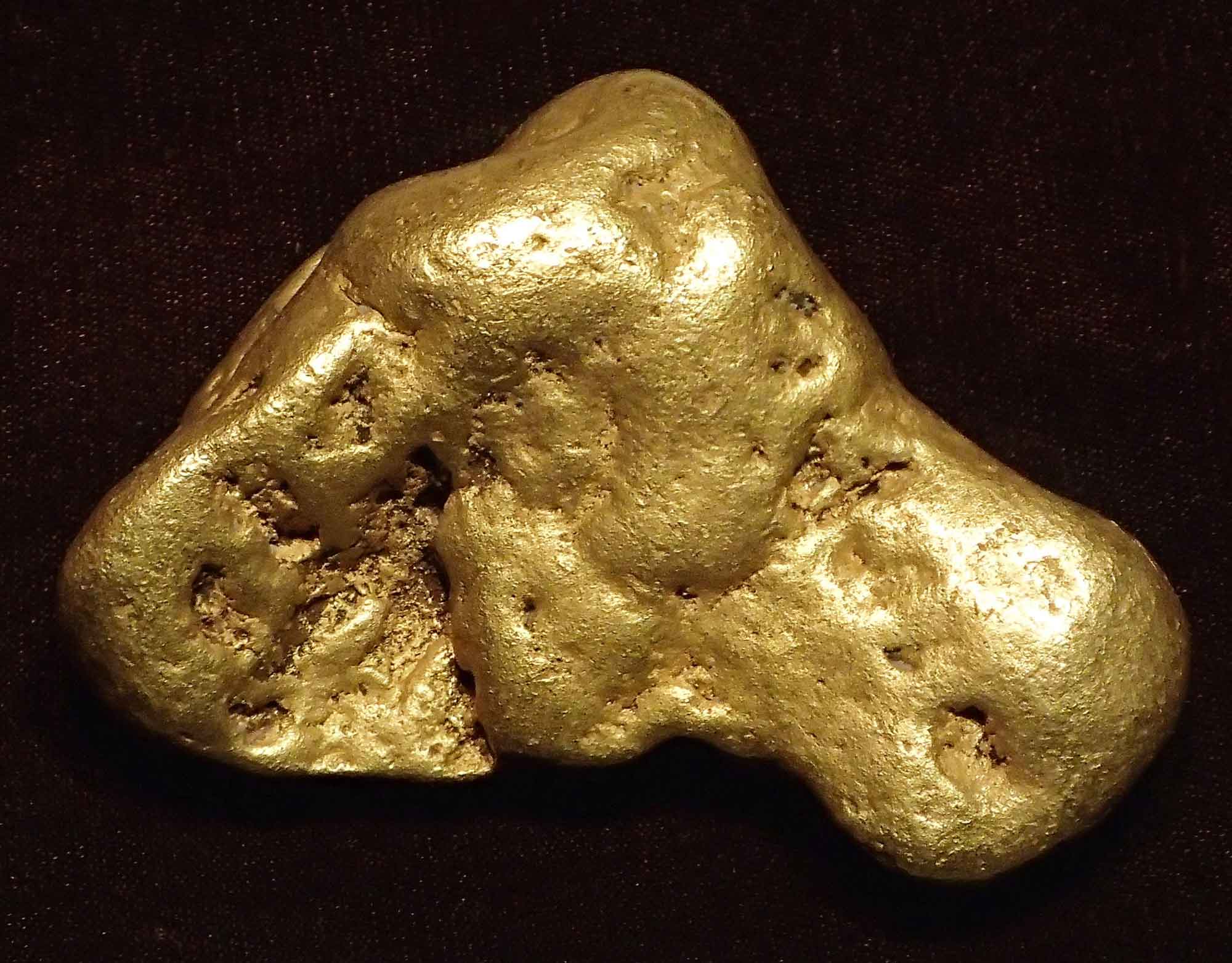Photograph of the largest gold nugget that has been found in Colorado.