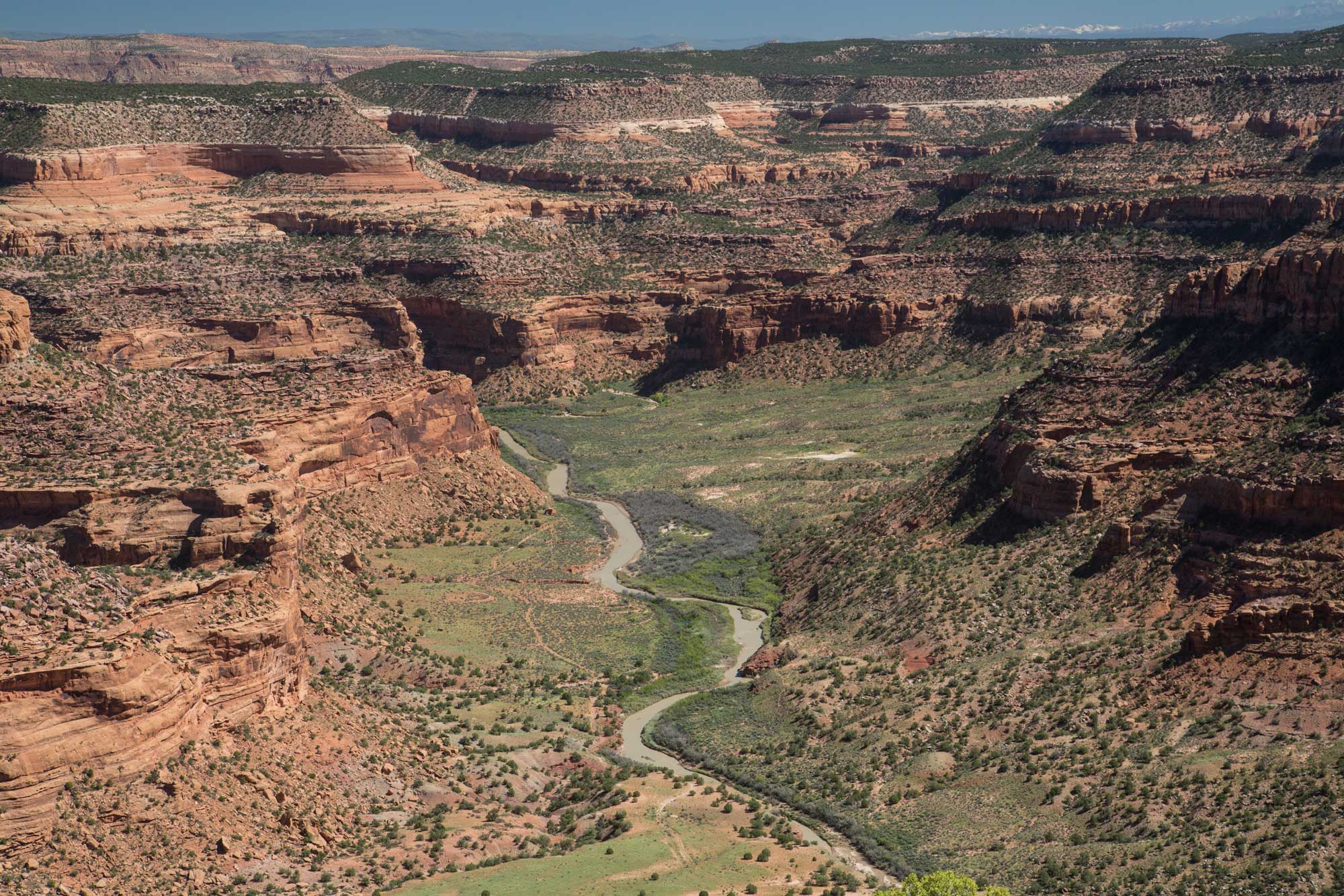 Photograph of the Dolores River snaking through a canyon with red rock cliffs. Vegetation appears low and scrubby.