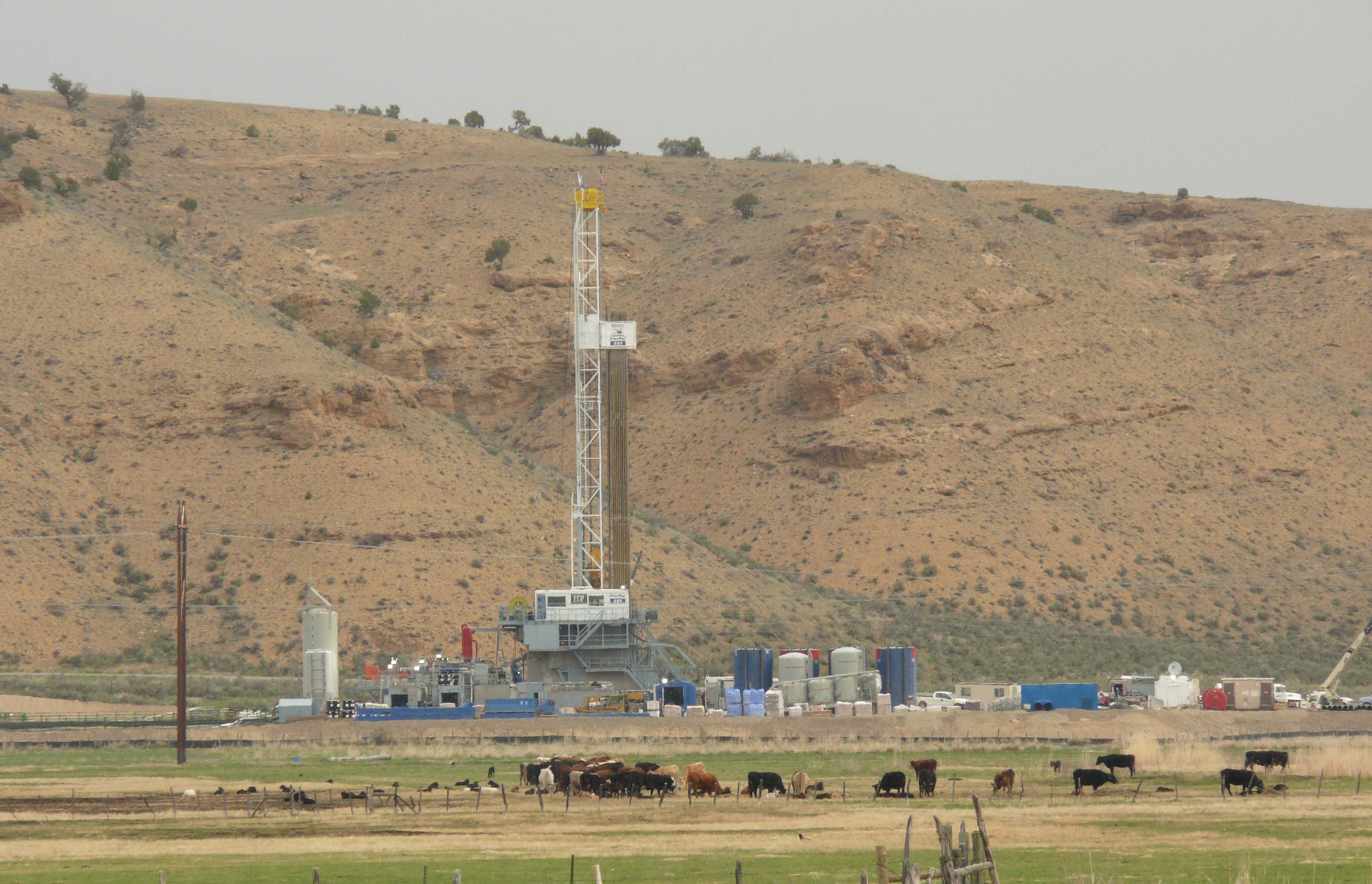 Photo of a drill rig in Colorado. The rig is a large white tower built out of bars of metal. Tanks and other structures are arrayed around it. Near to the viewer, a herd of cows is grazing. In the background, a light brown hill with sparse vegetation rises.