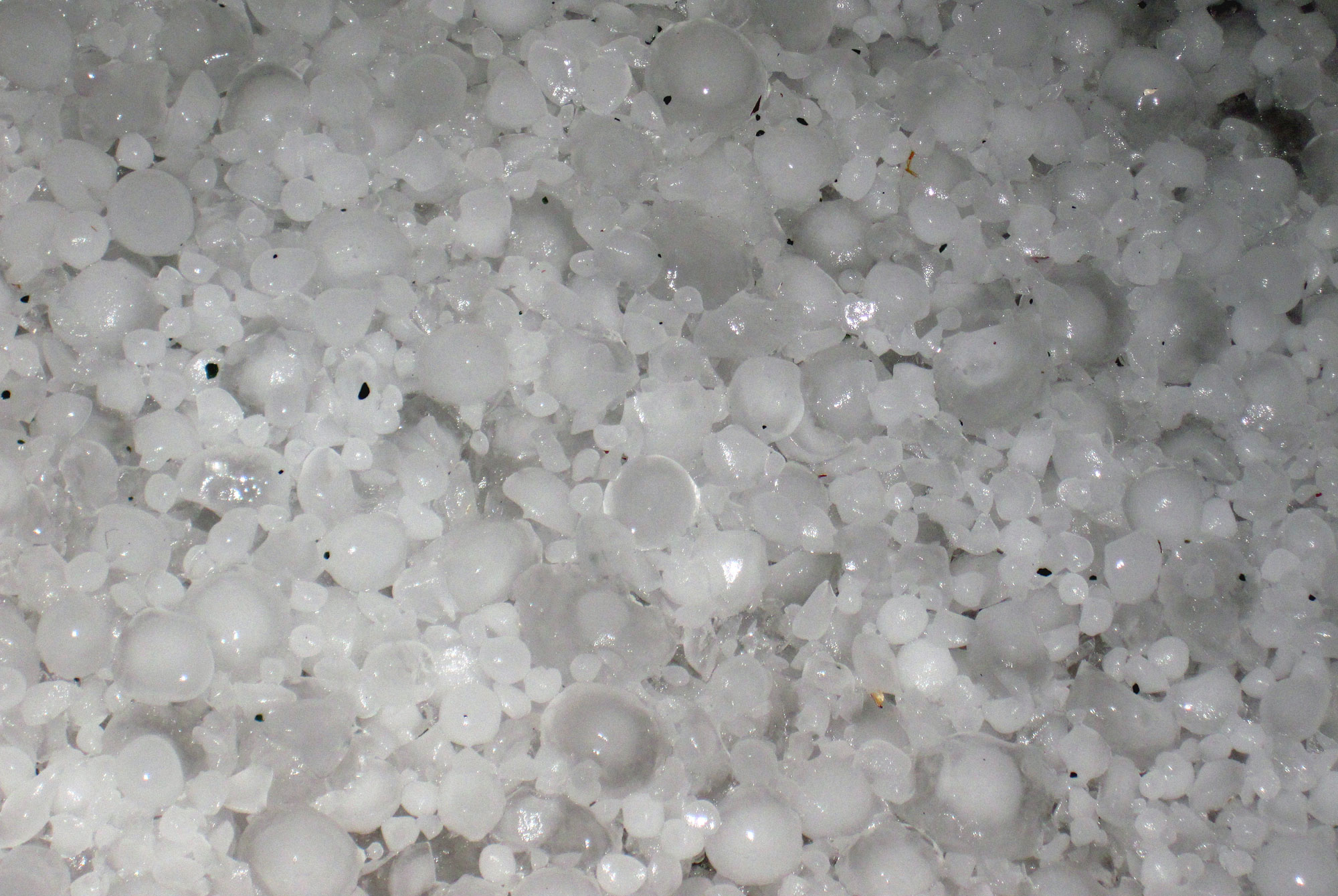 Close-up photograph of hailstones, rounded balls of ice.