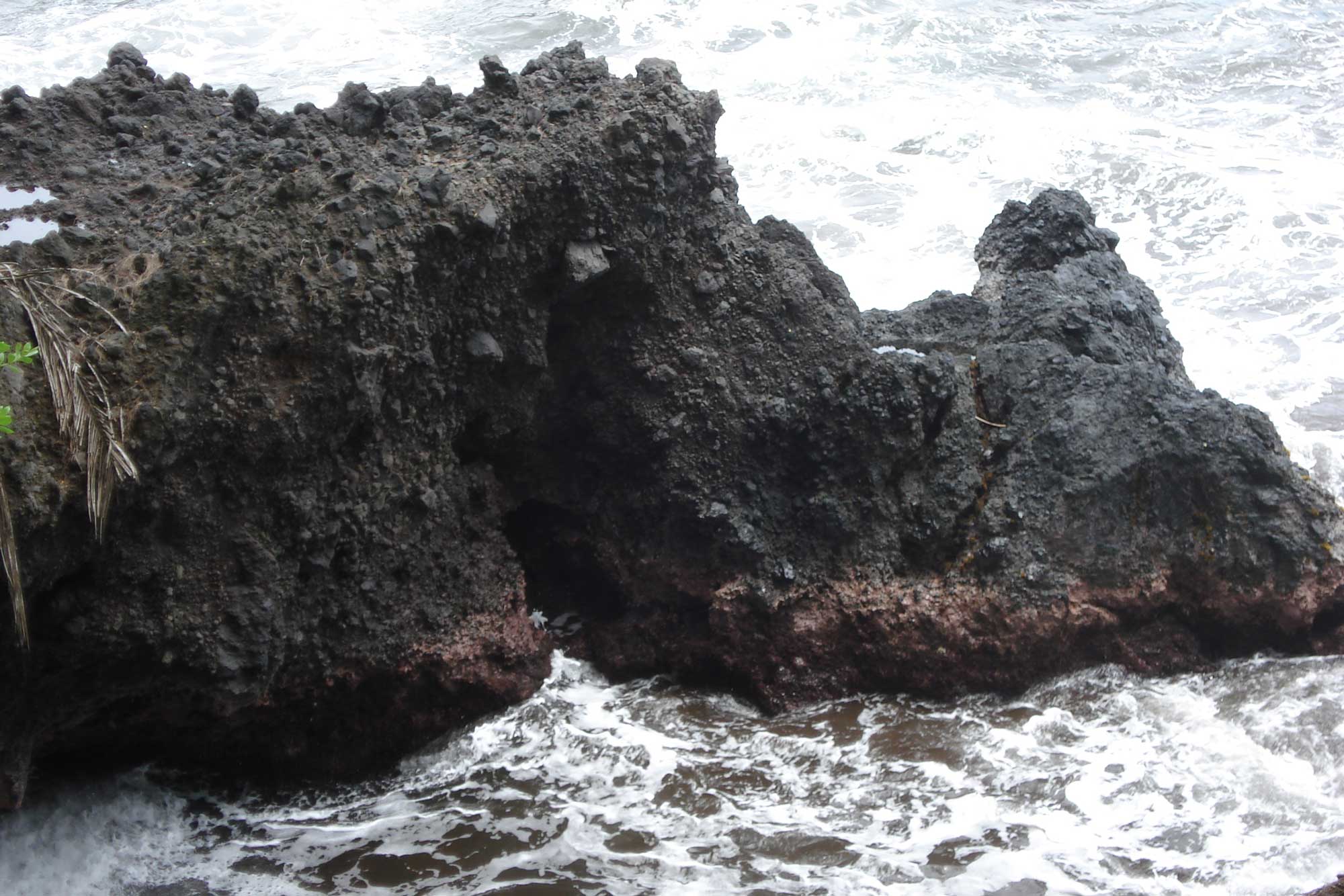 Photograph of a conglomerate composed of basalt cobbles on the Big Island of Hawaii.
