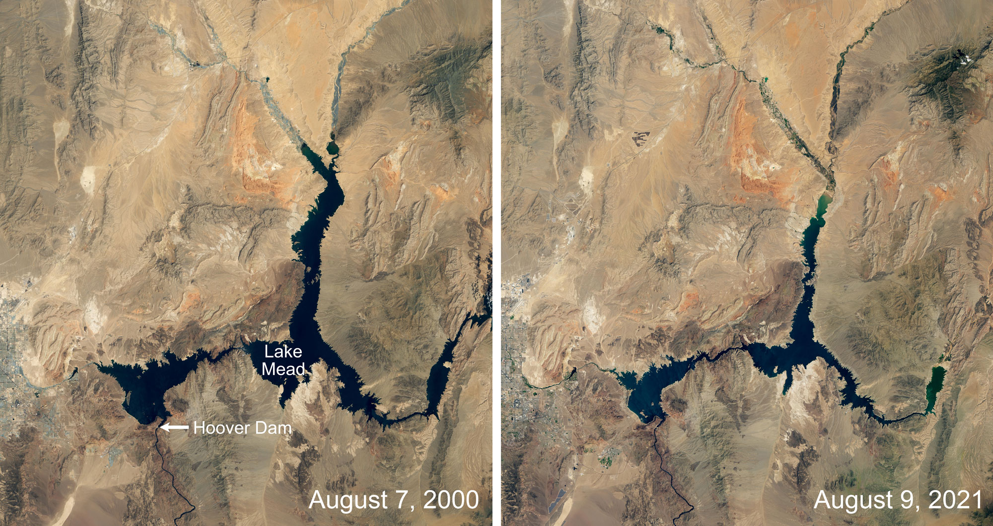 Satellite photographs showing Lake Mead on the Arizona-Nevada border at two points in time: August 7, 2000, and August 6, 2021. In the photo from 2000, the lake covers more area; in 2021, the water level is noticeably lower, as indicated by the arms of the lake being thinner and some parts of the lake appearing to be nearly completely dry.