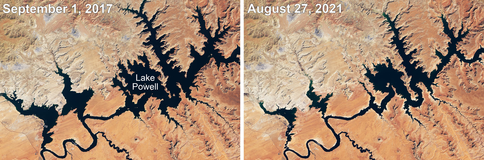 Satellite photographs showing Lake Powell in Arizona at two points in time: September 1, 2017, and August 27, 2021. In the photo from 2017, the lake covers more area; in 2021, the water level is noticeably lower, as indicated by the arms of the lake being thinner.