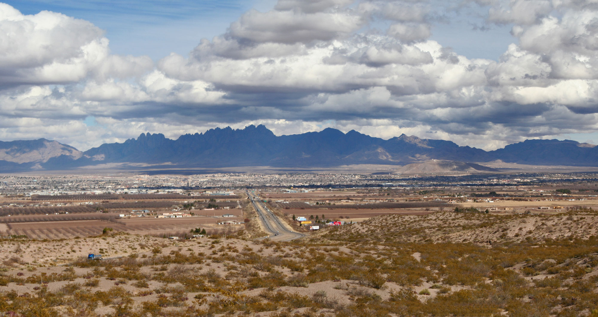Photograph of Las Cruces, New Mexico. On the horizon, a mountain range rises with the city on a flat plain in front of it. Nearest the camera is a dry landscape dotted with plants separated by patches of bare ground.