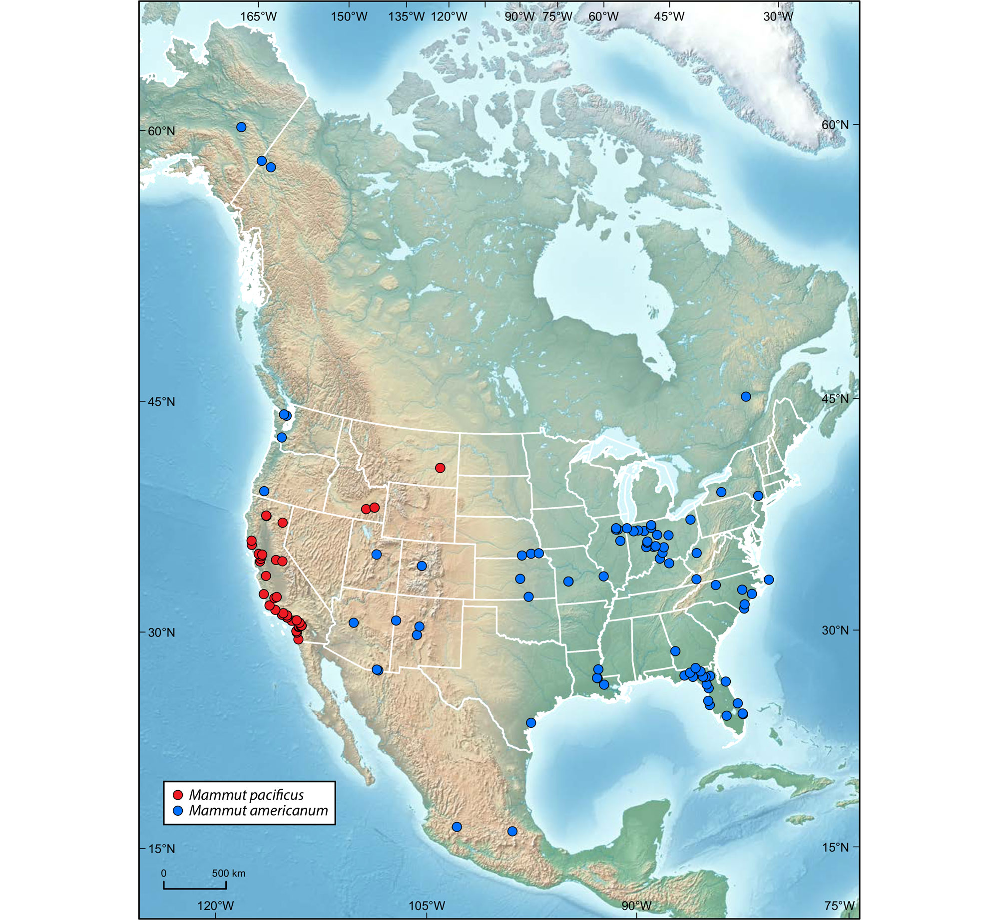Map of North America showing the distribution of the Pacific mastodon and selected American mastodons. The Pacific mastodon is mostly found near the coast of California, although it has been found at several inland sites in northern California, southeastern Idaho, and Montana. The American mastodon has been found in Alaska, northwest Canada, Washington, and Oregon, as well as  the Southwest, and much of eastern North America.