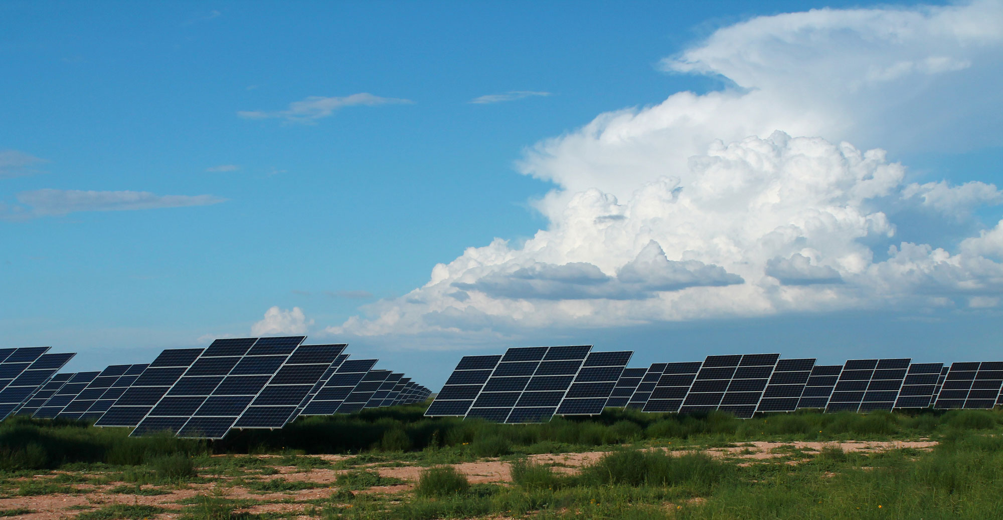 Photograph of a solar array in New Mexico. The photo shows multiple flat, black solar panels in a field with vegetation and some barren soil.