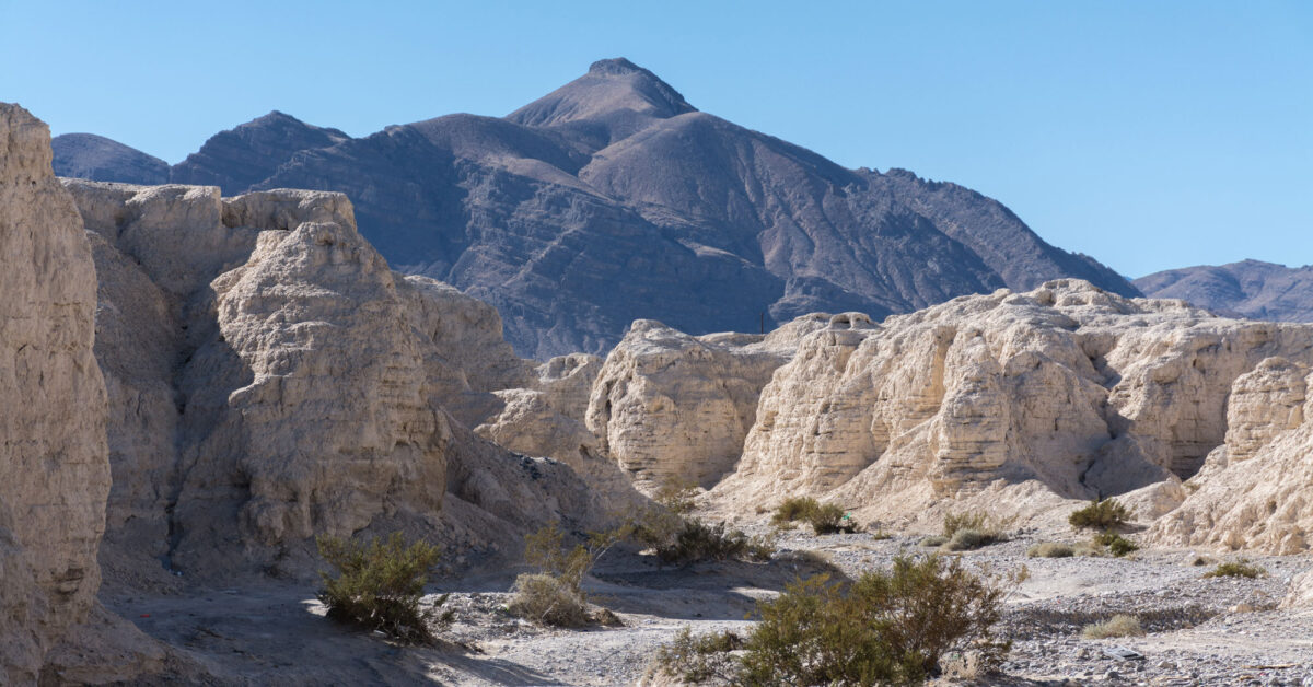 Photograph of the landscape at Tule Springs Fossil Beds National Monument in Nevada. The landscape is very dry with only a few shrubs in the foreground on a flat patch of dirt at the bottom of a gully. The gully has vertical sides made up of off-white, weathered rock. In the background, a tall gray hill or mountain rises with its highest peak just left-of-center in the photograph.