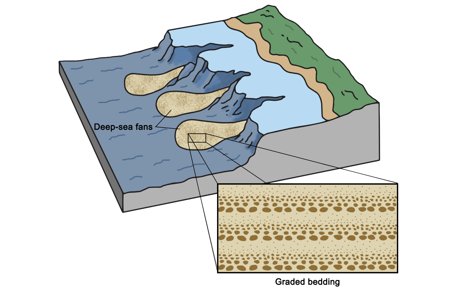 Diagram showing how turbidity currents form graded sediment deposits over time.