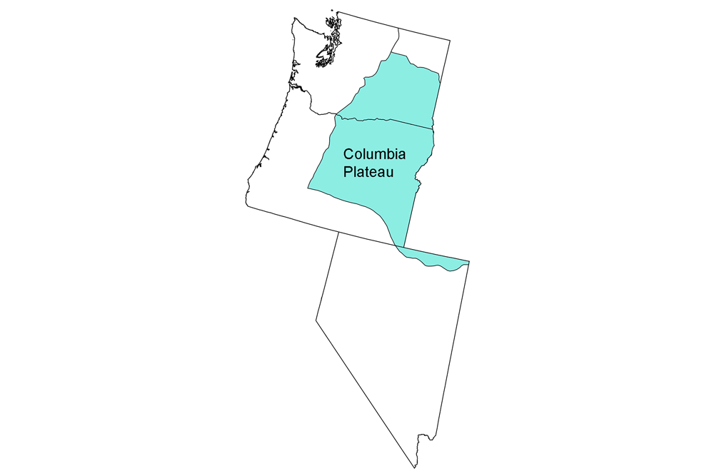Simple map identifying the Columbia Plateau physiographic region of the western United States.