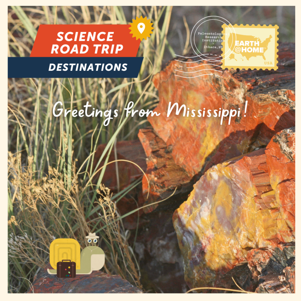 Greetings from Mississippi Postcard, photo of Gilbert D. Snail with Petrified Wood. Text: "Science Road Trip Destinations. Greetings from Mississippi!" With Earth@Home stamp.