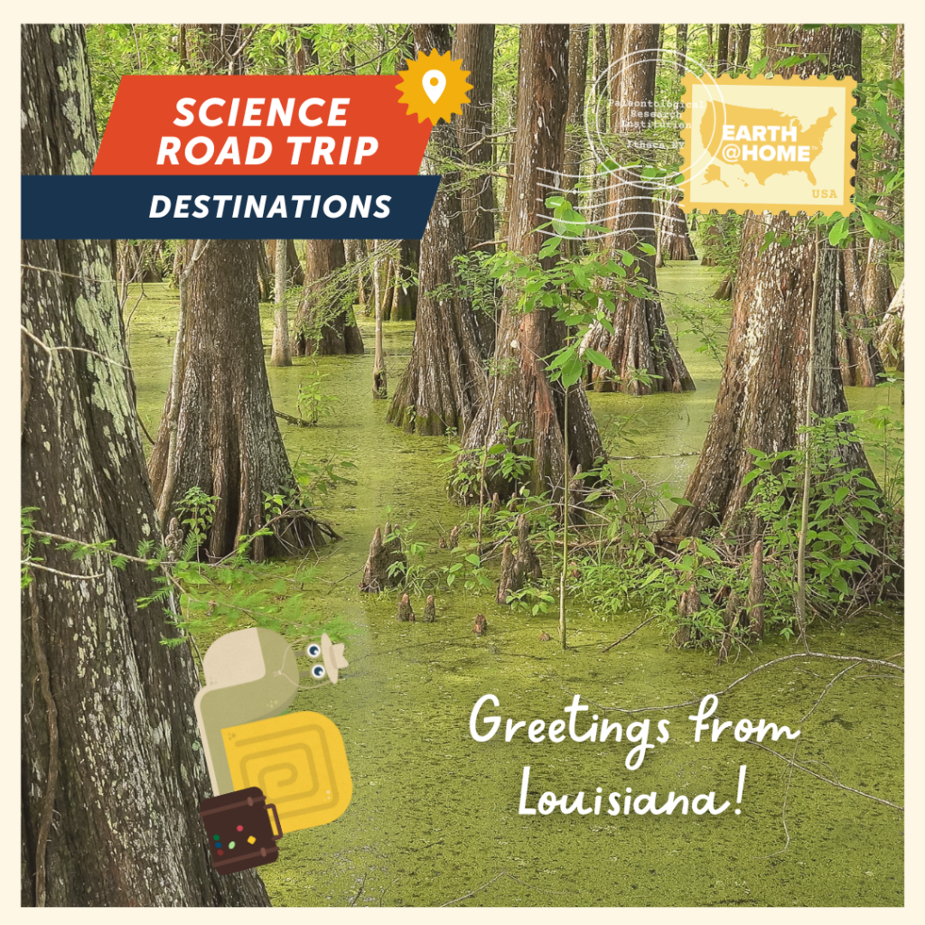 Greetings from Louisiana Postcard, photo of Gilbert D. Snail climbing up a tree. Text: "Science Road Trip Destinations. Greetings from Louisiana!" With Earth@Home stamp.