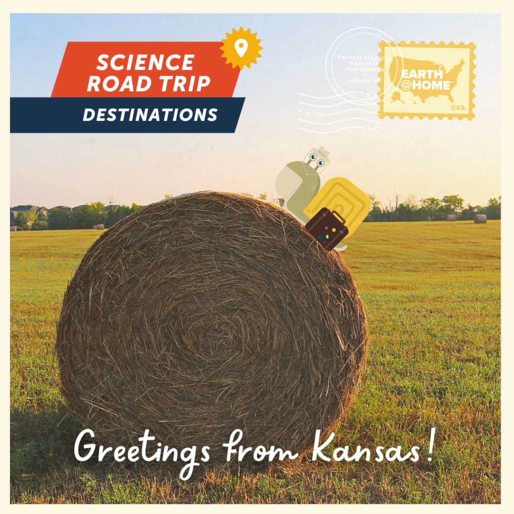 Greetings from Kansas Postcard, photo of Gilbert D. Snail on a hay bale in an open grassy field. Text: "Science Road Trip Destinations. Greetings from Kansas!" With Earth@Home stamp.