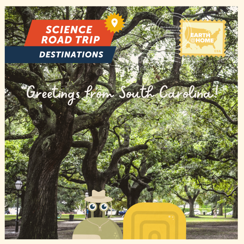 Greetings from South Carolina Postcard, photo of trees in a park with Gilbert D. Snail. Text: "Science Road Trip Destinations. Greetings from South Carolina!" With Earth@Home stamp.