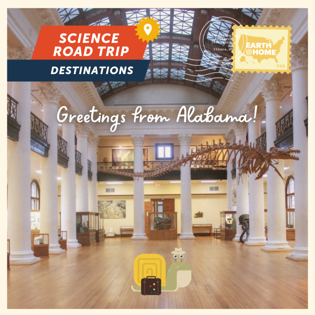 Greetings from Alabama Postcard, photo of Gilbert D. Snail at Alabama Museum of Natural History. Text: "Science Road Trip Destinations. Greetings from Alabama!" With Earth@Home stamp.