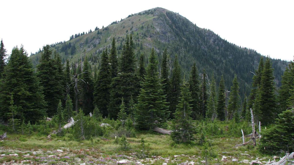 Photograph of Abercrombie Mountain in northeastern Washington.