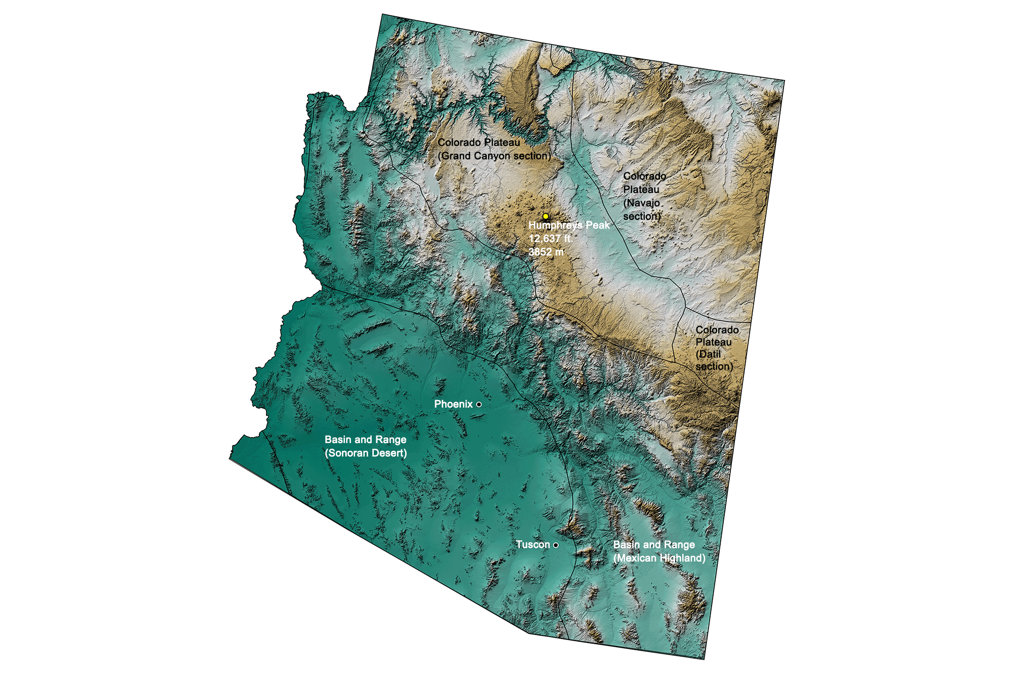 Topographic map of Arizona.